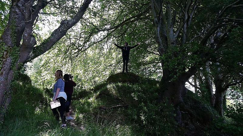 Declan greeting the fairies