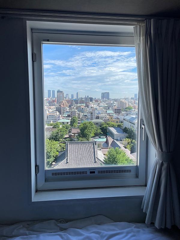 View of Tokyo looking out a window