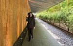 Student wearing wide brimmed hat walking down a path toward camera with a tall wooden wall on their left and a row of trees on their right a 